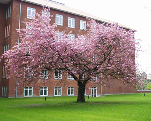 Faculty of Theology